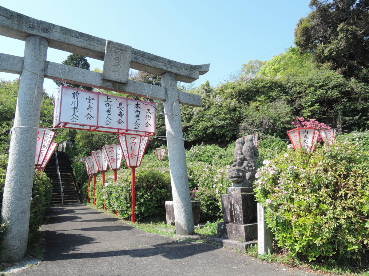 宝福寺山つつじ祭り