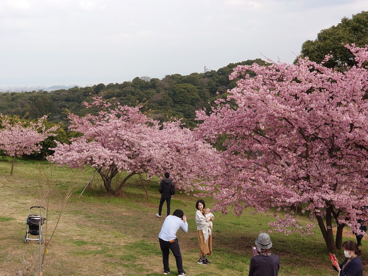 静豊園