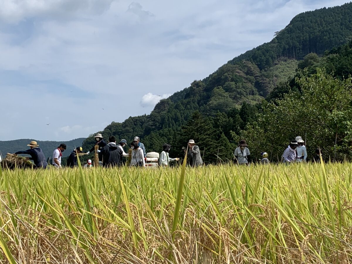 グリーンツーリズム研究会（農村民泊）