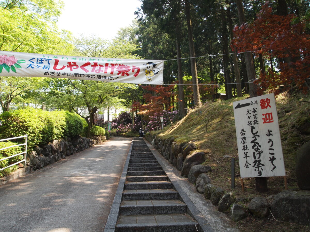 しゃくなげ祭り