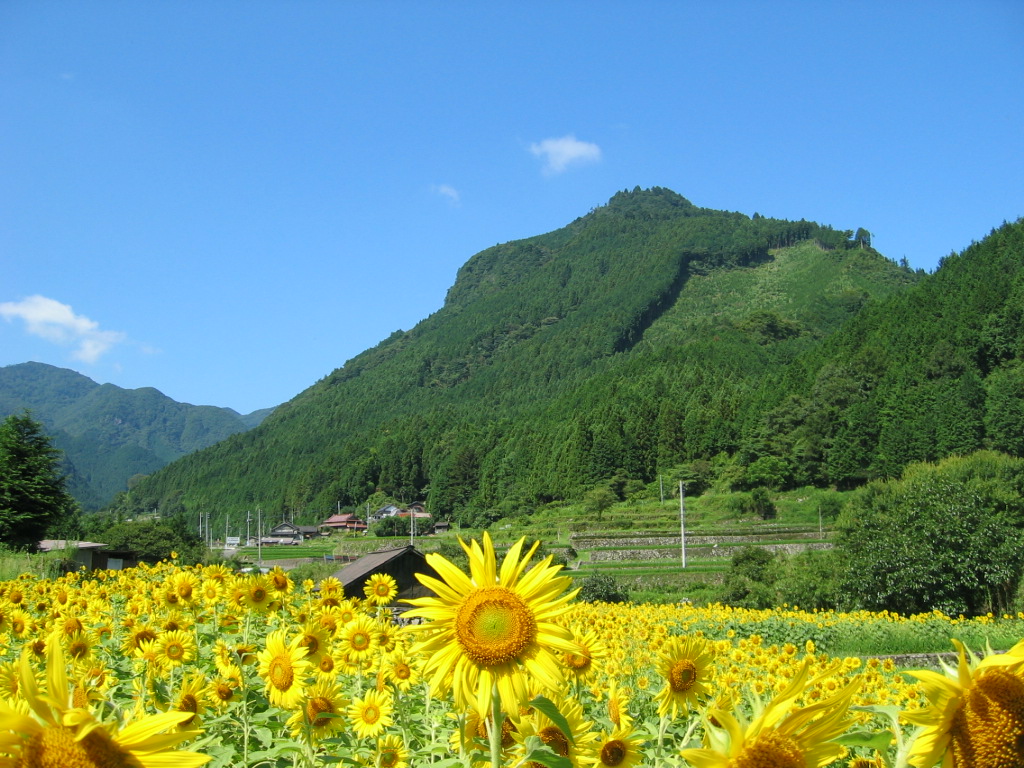 求菩提山